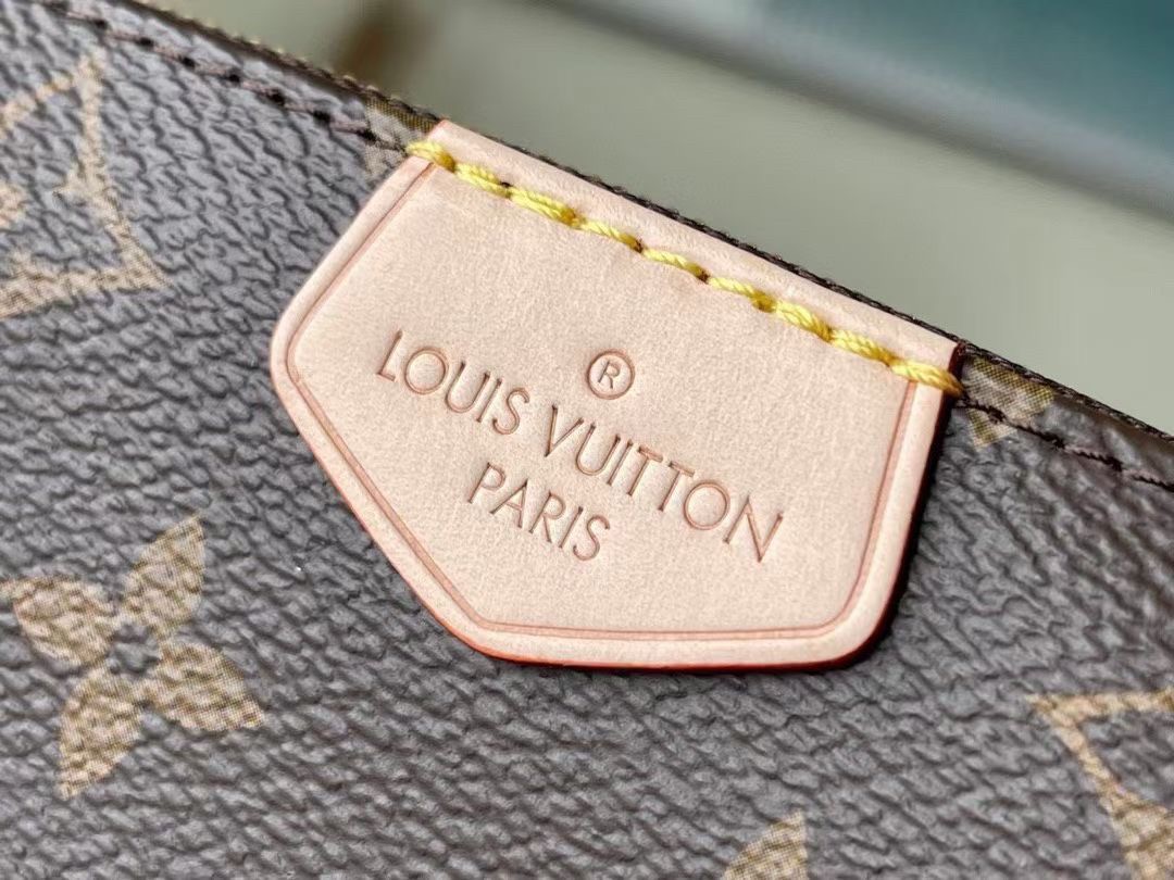 Replica Louis Vuitton Multi Pochette Accessoires Monogram Canvas M44813  BLV291 for Sale