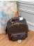 Louis Vuitton Palm Springs MM Backpack In Monogram Canvas M44874