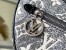 Louis Vuitton Loop Bag In Grey Monogram Denim M21752